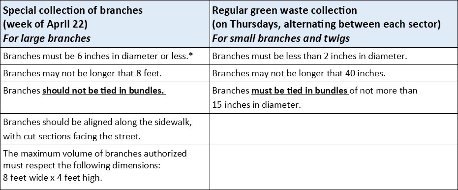 Branches collection guidelines
