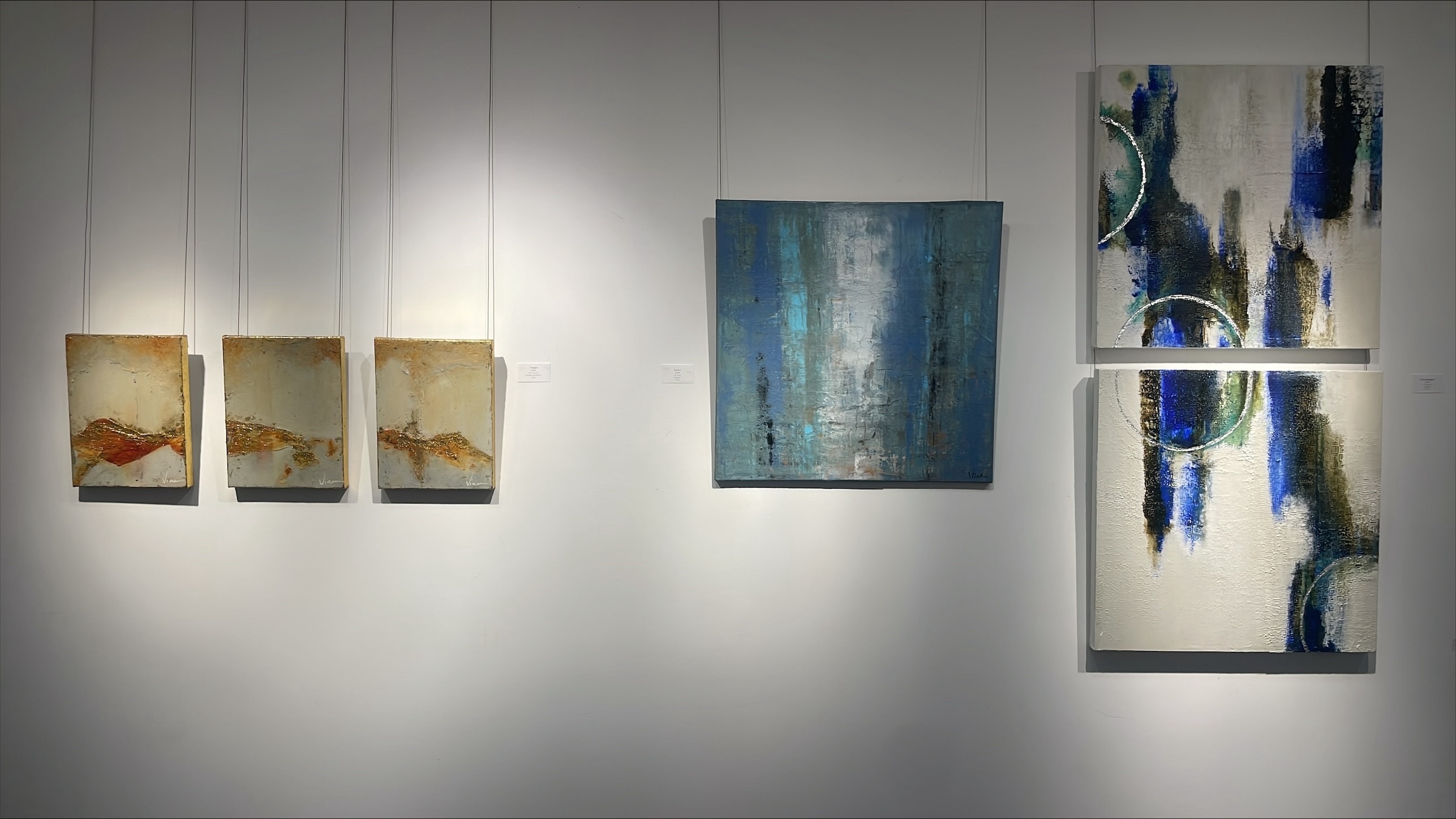 Exposition Claude Viau 4