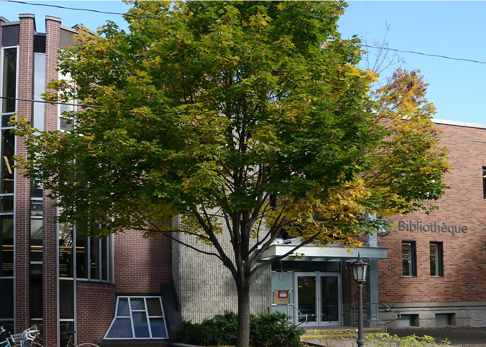 Gallerie bâtiments bibliothèque9