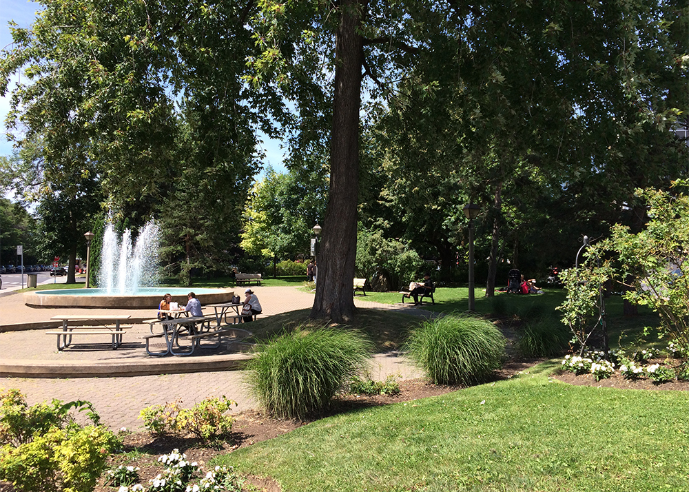 Gallerie parc gordon ambiance