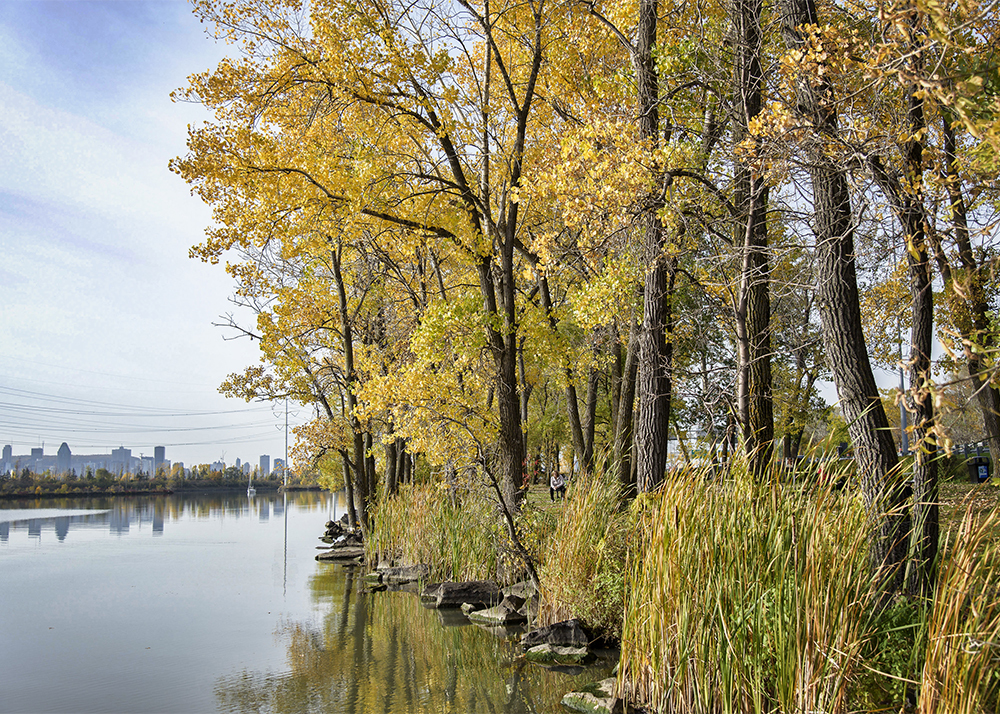 Gallerie parc havre vue eau mtl