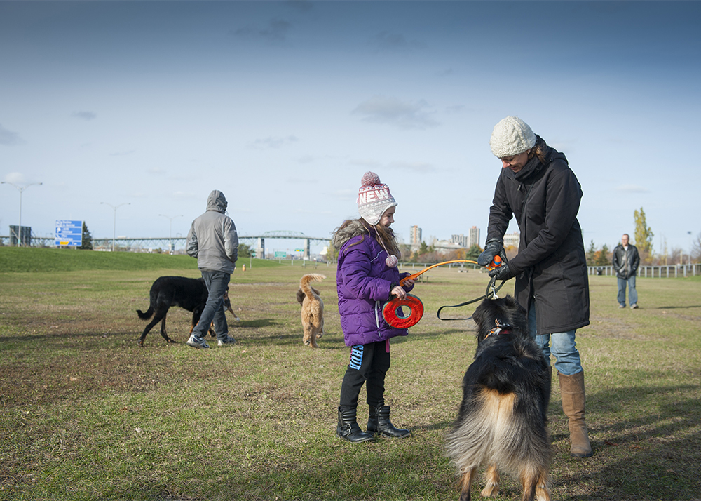 Gallerie parc maritime chiens