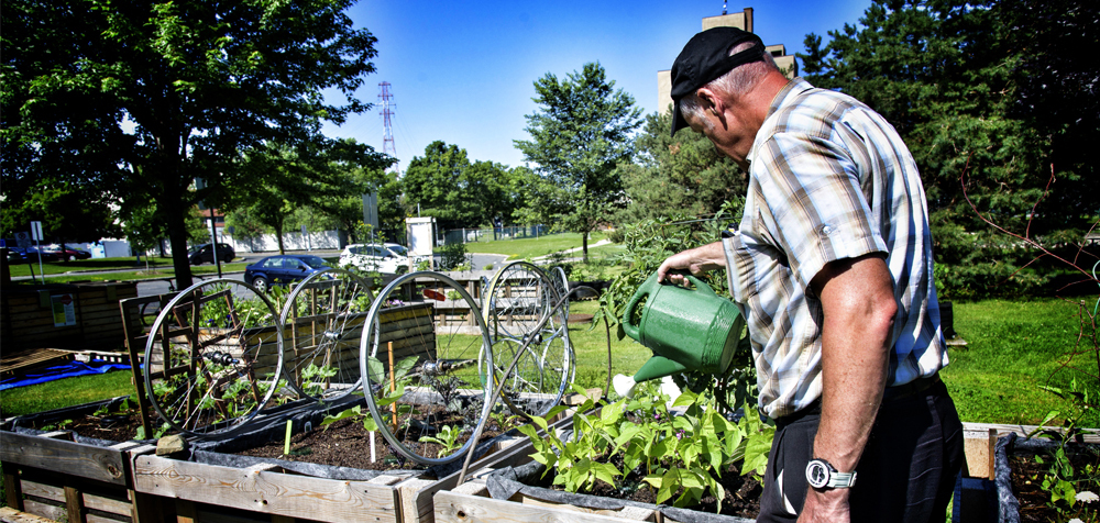 Homme jardinant